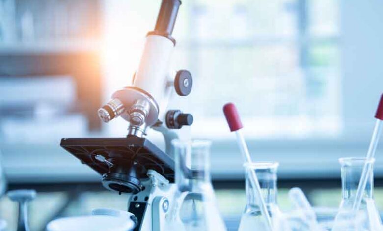 Tidak Banyak Active Hand Sanitiser Yang Bisa Lawan Fungal / Jamur, Viroxy Lab Menguji Berry C Melawan Jamur Candida Albicans